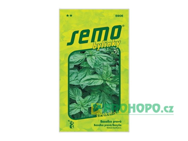 SEMO Bazalka pravá Dark Green širokolistá