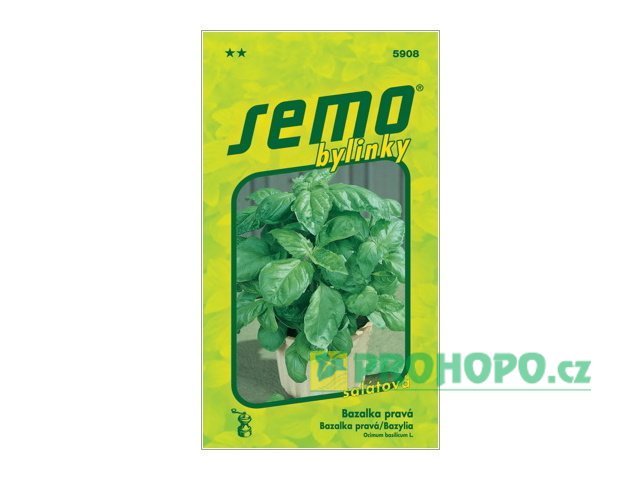 SEMO Bazalka pravá Lettuce Leaf salátová