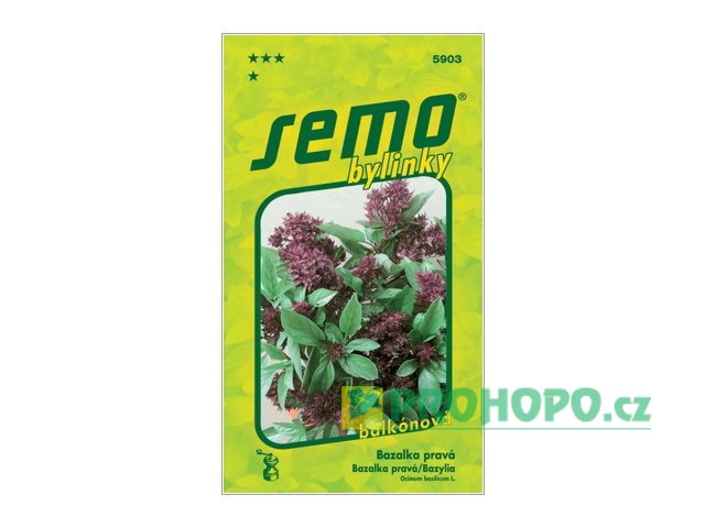 SEMO Bazalka pravá Siam Queen balkonová