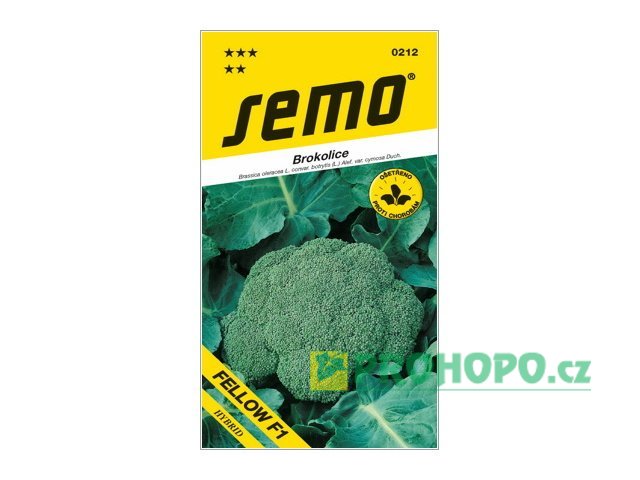 SEMO Brokolice Fellow F1 / Steel F1 raná