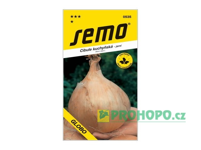 SEMO Cibule Globo jarní