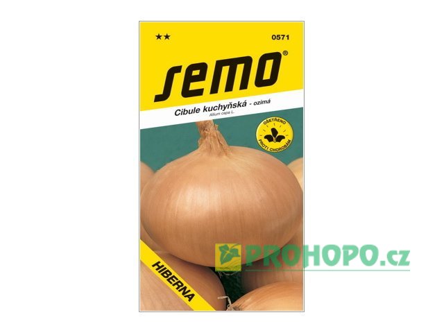 SEMO Cibule Hiberna ozimá