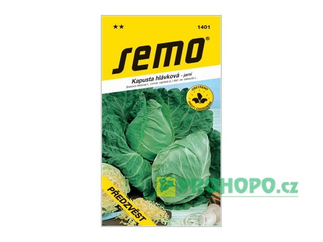 SEMO Kapusta hlávková Předzvěst raná