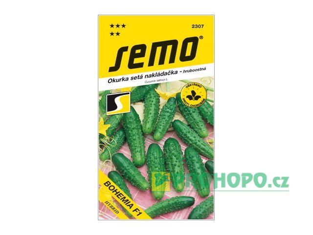 SEMO Okurka nakládačka Bohemia F1 hruboostná