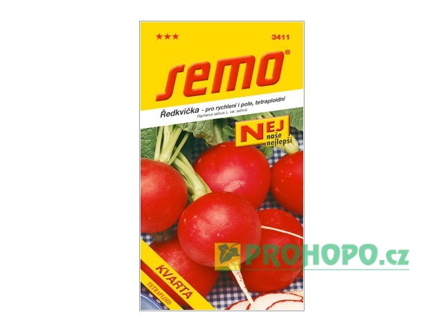 SEMO Ředkvička Kvarta raná tetraploidní k rychlení i na pole