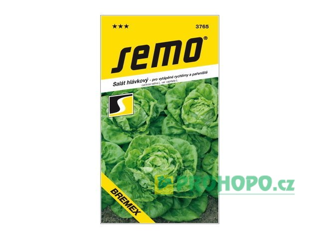 SEMO Salát hlávkový Bremex k rychlení velmi raný do pařeniště