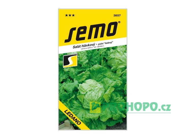 SEMO Salát hlávkový Ledano ledový raný na pole