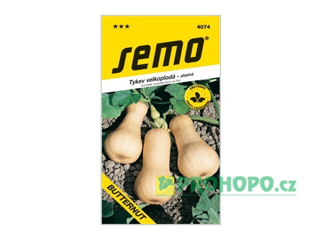 SEMO Tykev velkoplodá Butternut / Liscia muškátová plazivá