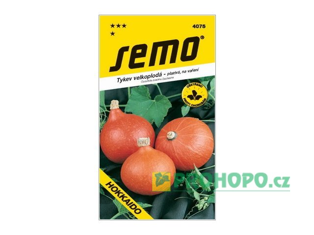 SEMO Tykev velkoplodá Hokkaido Orange na vaření plazivá