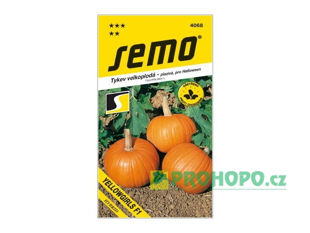 SEMO Tykev velkoplodá Yellowgirls F1 pro Halloween plazivá