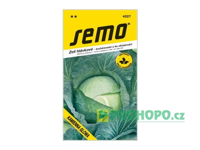 SEMO Zelí hlávkové Kamienna Glowa pozdní krouhárenské a ke skladování