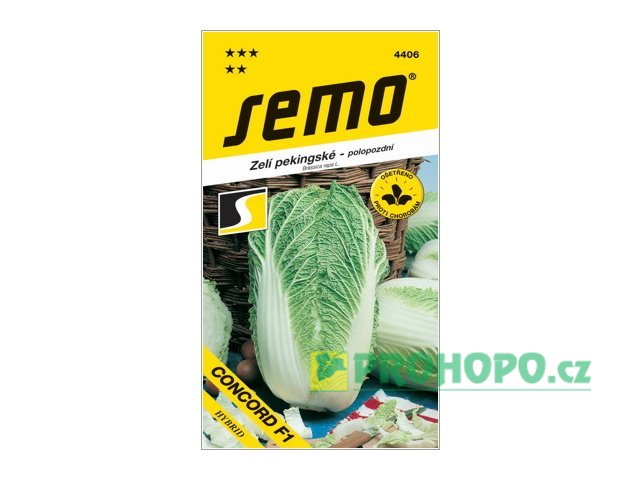 SEMO Zelí pekingské Concord F1 polopozdní