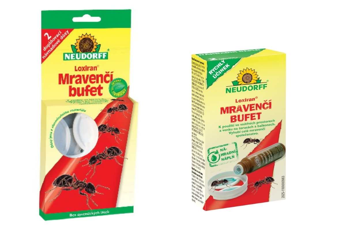 Loxiran Mravenční bufet a náplň