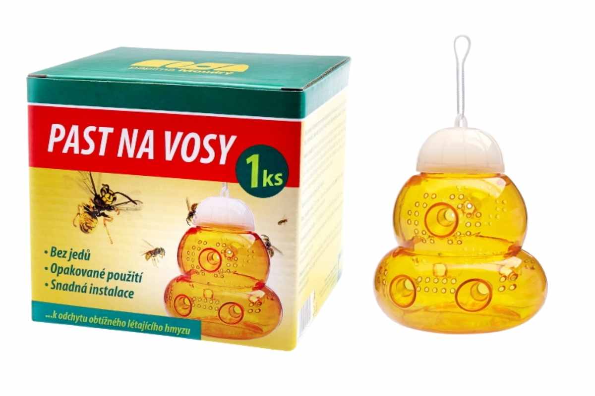 Past na vosy
