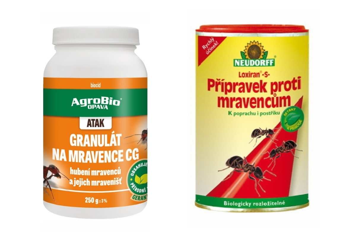 granuláty na mravence