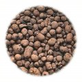 AGRO Keramzit 20l (8-16mm)