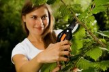 Nůžky Fiskars 111260 zahradní SingleStep™ P26 dvoučepelové
