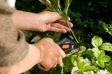 Nůžky Fiskars 111260 zahradní SingleStep™ P26 dvoučepelové