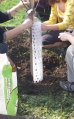 Ochrana stromu provlékací 120cm - k ochraně kmenů listnatých stromků před okusem zvěří