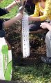 Ochrana stromu provlékací 56cm - k ochraně kmenů listnatých stromků před okusem zvěří