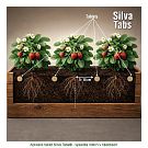 Silva Tabs Balkonové květiny 250g - postupně se uvolňující hnojivo v tabletách na 6 měsíců