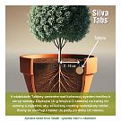 Silva Tabs Okrasné dřeviny 250g - postupně se uvolňující hnojivo v tabletách na 12 měsíců